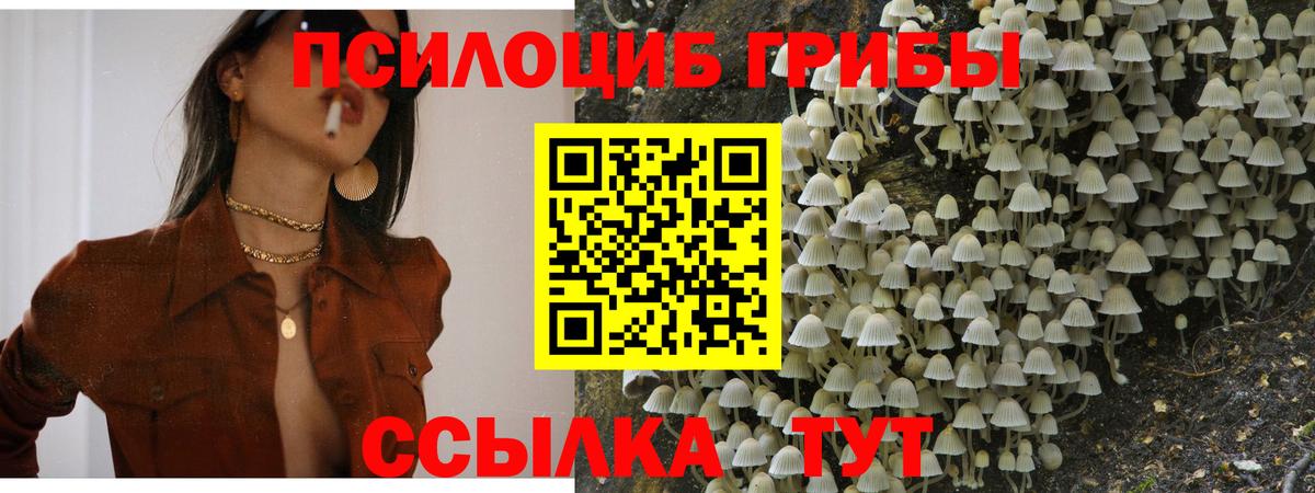 Галлюциногенные грибы GOLDEN TEACHER  Галлюциногенные грибы MAGIC MUSHROOMS  Санкт-Петербург  наркотики  Вход с VPN 