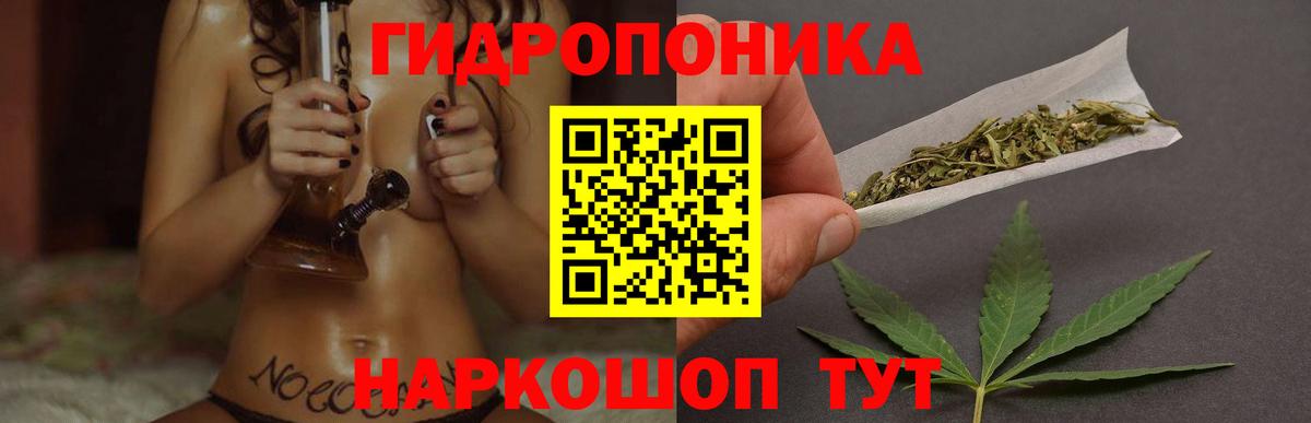 Каннабис Amnesia Санкт-Петербург